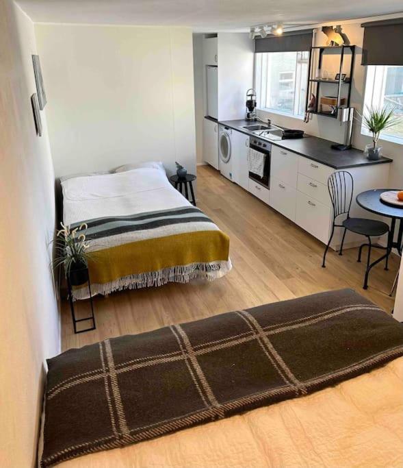 Studio Apartment Reykjavik City Center Zewnętrze zdjęcie