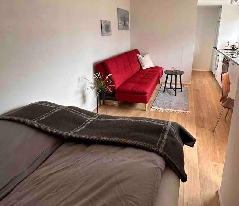 Studio Apartment Reykjavik City Center Zewnętrze zdjęcie